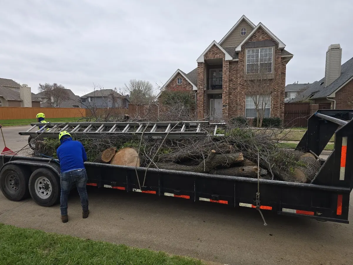 Expert Lot Clearing with proper safety equipment in Ellsworth